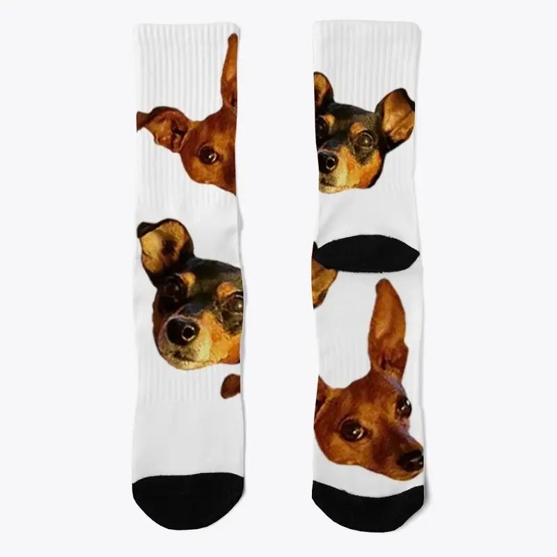 Chungy Socks!